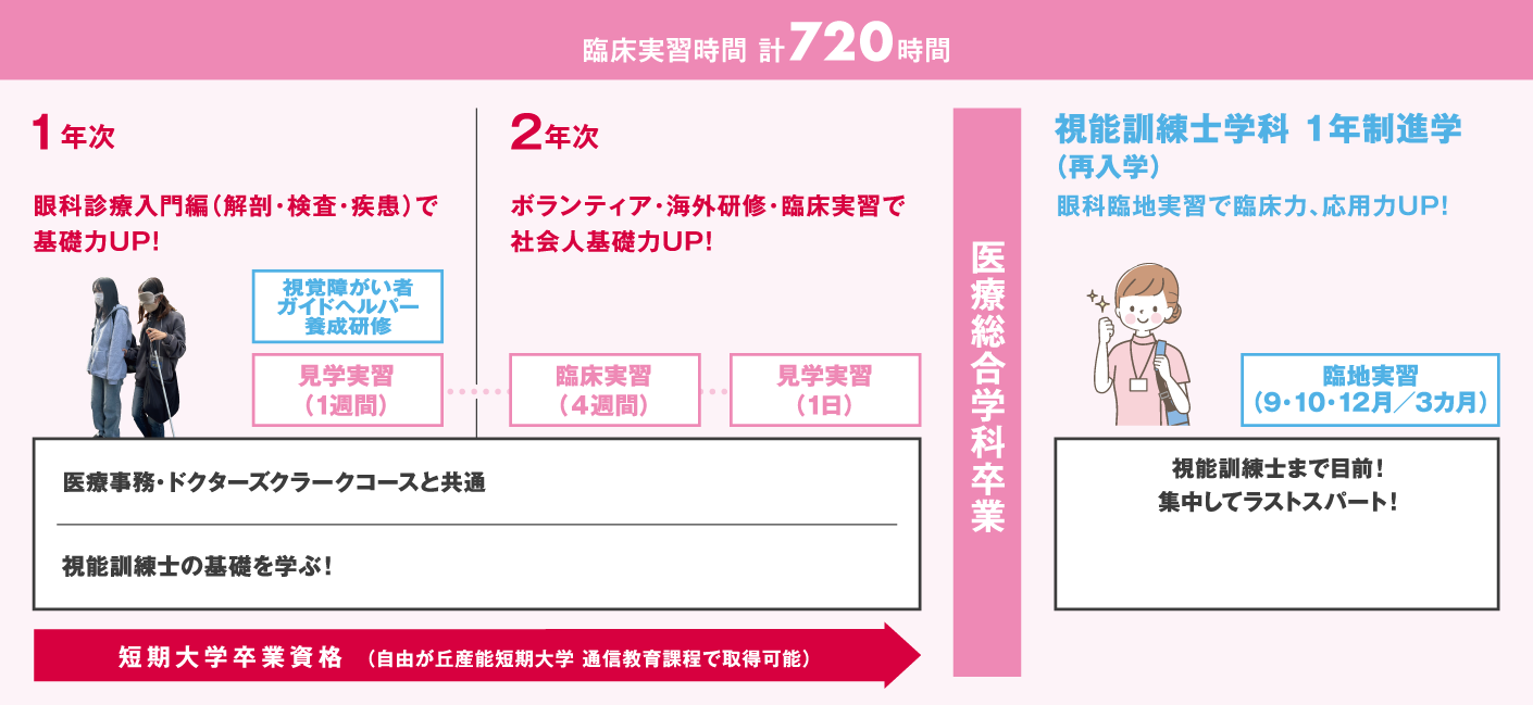 視能訓練士学科1年制進学コースの3年間の学びのステップ