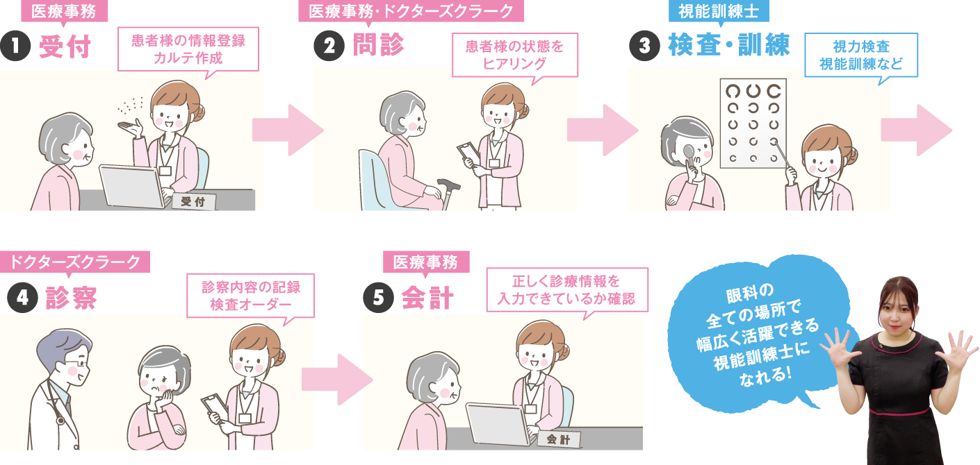 視能訓練士学科1年制進学コースの学びのステップ