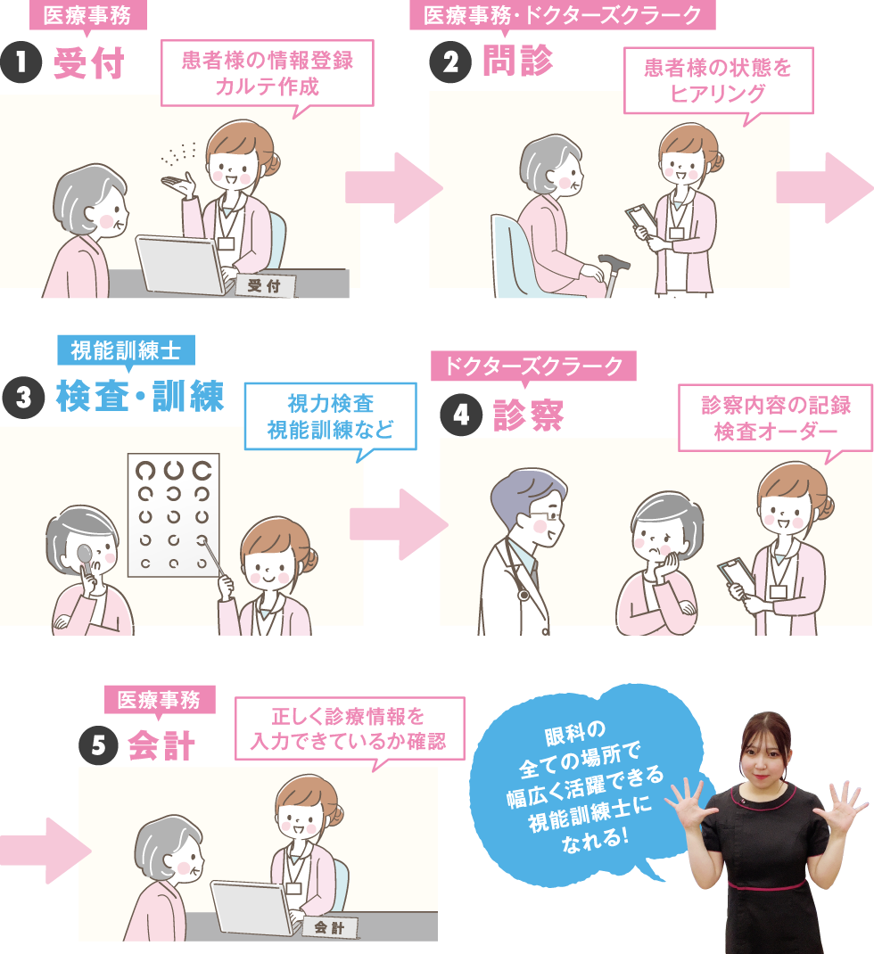 視能訓練士学科1年制進学コースの学びのステップ