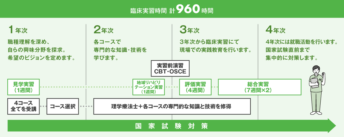 理学療法士学科 昼間部 4年間の学びのステップ