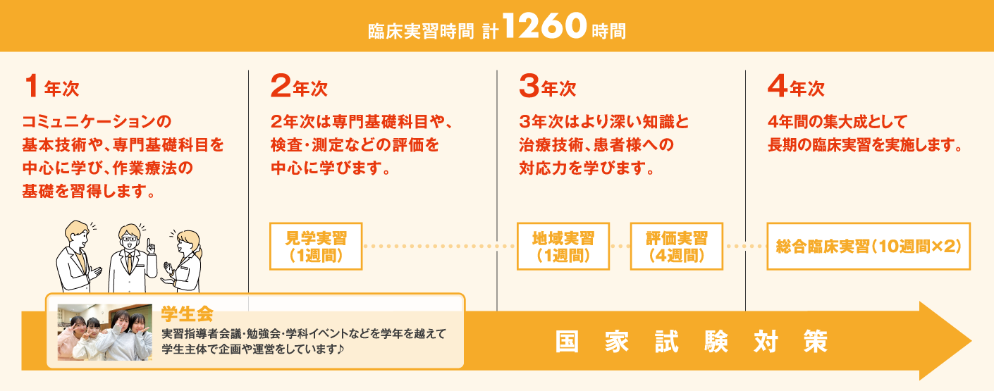 作業療法士学科 夜間部 4年間の学びのステップ