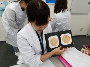 視能訓練士学科３年制　色覚検査実習！