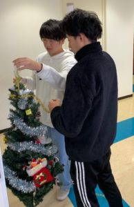 診療情報管理士学科　クリスマスツリー設営☆