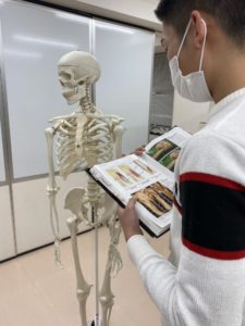 理学療法士学科　体表解剖学試験