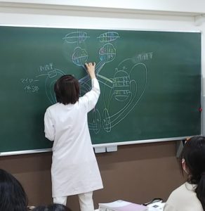 視能訓練士学科１年制　「視覚生理学Ⅰ」授業紹介