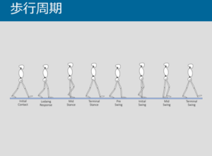 理学療法士学科　授業紹介③『動作学Ⅰ』