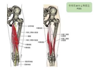 理学療法士学科　授業紹介⑩　　『体表解剖学』