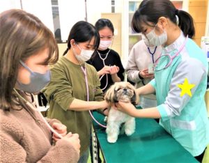 こどもリハビリテーション支援専攻コース  『大阪ECO動物海洋専門学校見学』