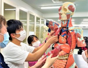 視能訓練士学科１年制　『～授業紹介～　解剖生理学Ⅰ』