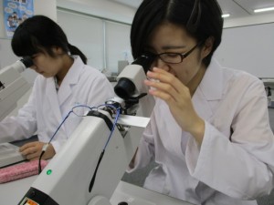 写真④（訂正済み）