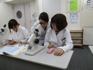 写真⑤(訂正済み)