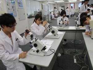 視能訓練士学科３年制　１年生のレンズメータ実習の様子を紹介します！