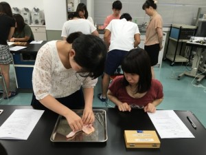 作業療法士学科　鶏肉の解剖実習を行いました！