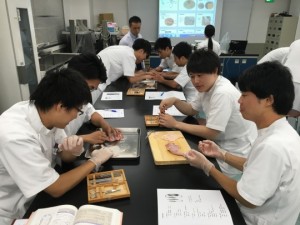 作業療法士学科　鶏肉の解剖実習を行いました！～夜間部編～