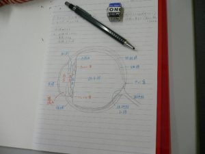 p1020840