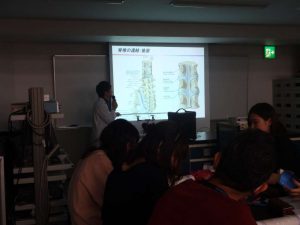 作業療法士学科　「解剖学」の授業の様子をお見せします！